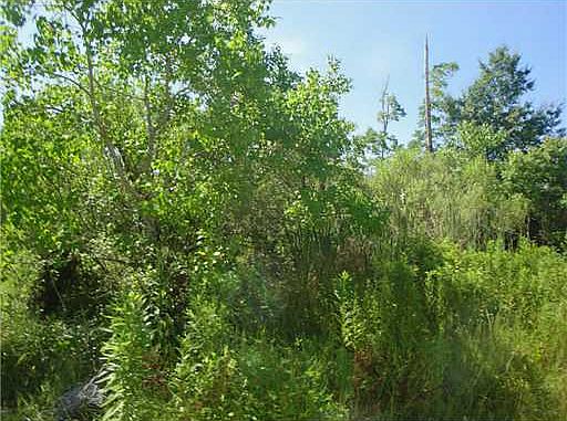 4th image of 6167 Clermont Blvd