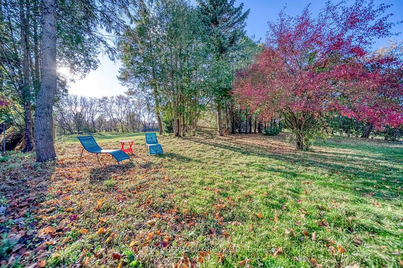 3 bed, $3,650 — Photo 4