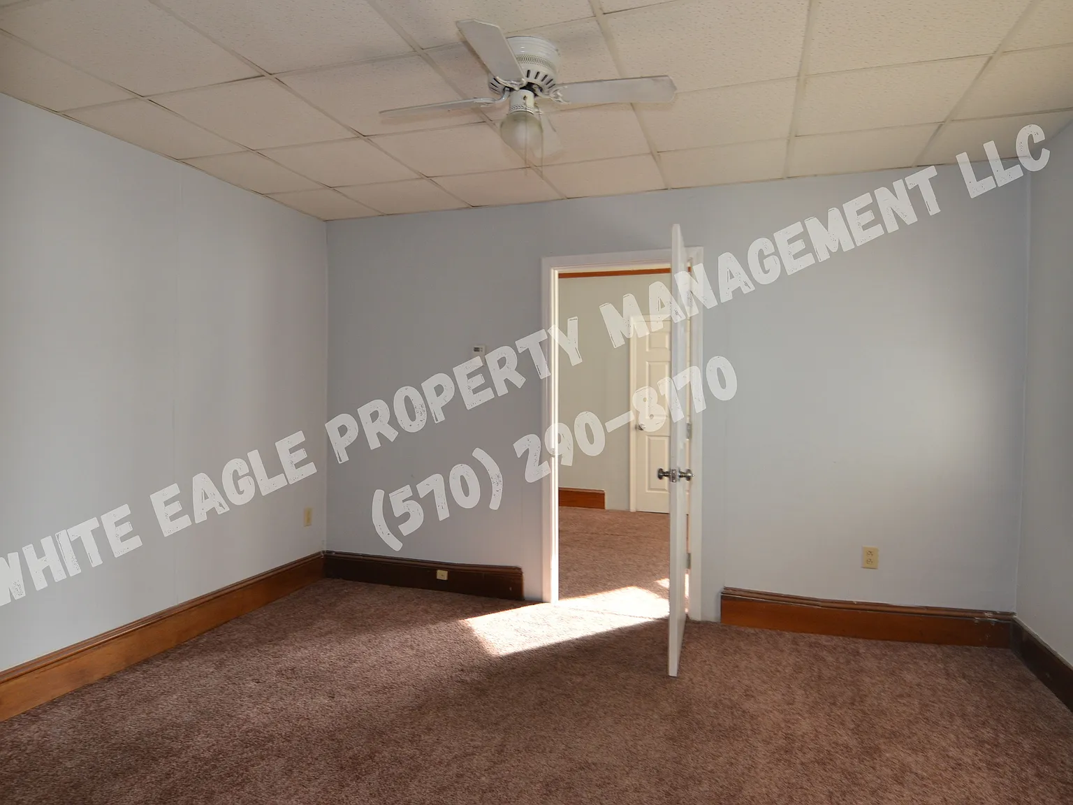 313 William St — Photo 3