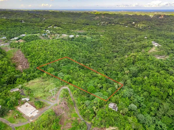 823 Km 4.5 BO. RIO, TOA ALTA, PR 00953