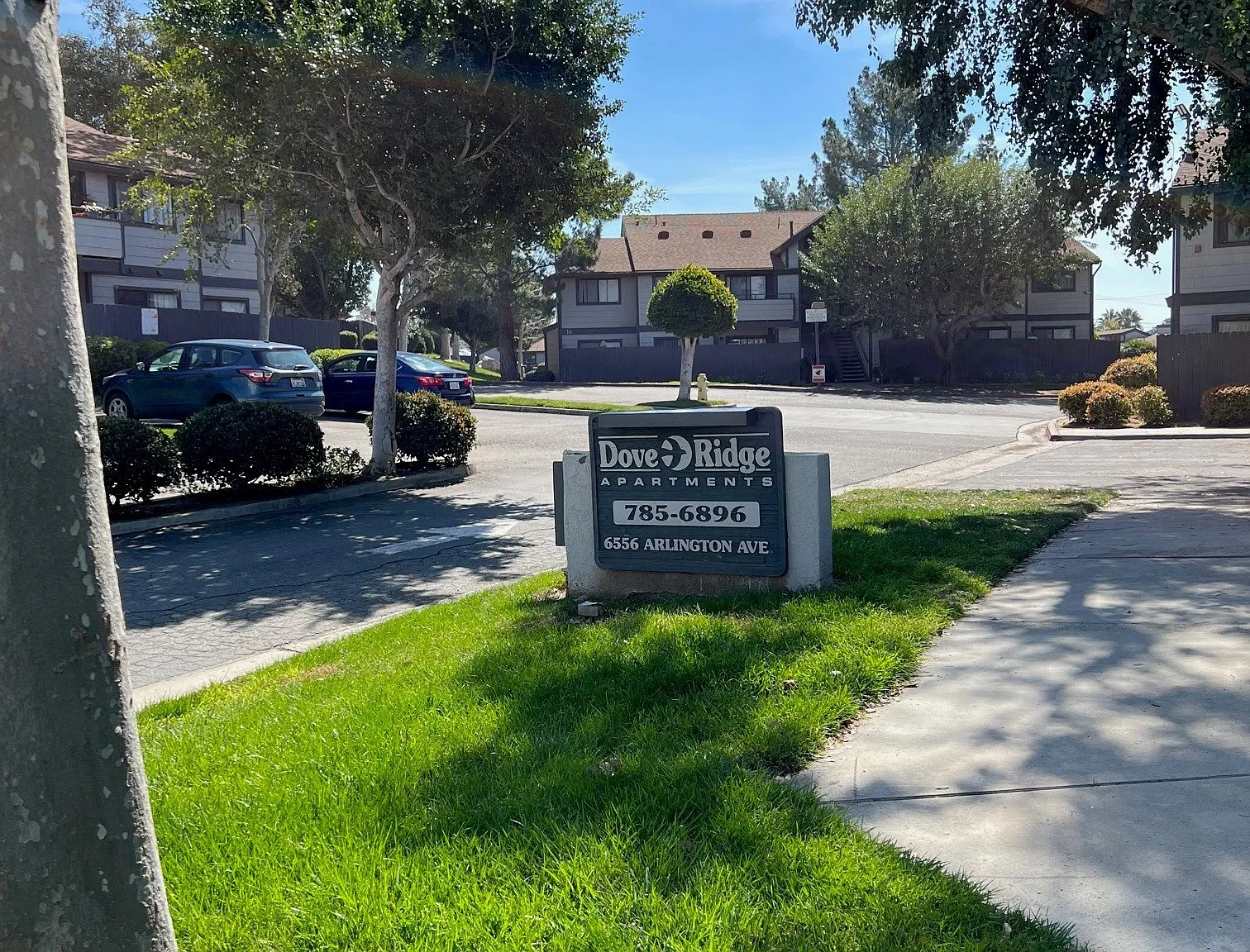 Dove Ridge Apartments — Photo 1
