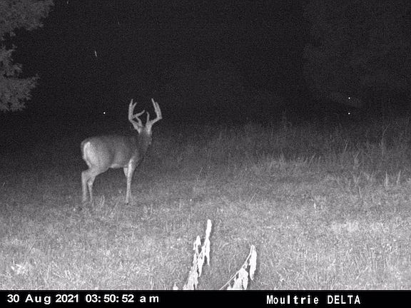 3rd image of 6606 Old Lemay Ferry Rd