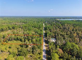 9566 N Cavewood Ave, Crystal River, FL 34428