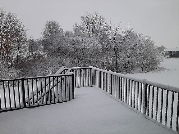 4th image of 252 Chadwick Ln