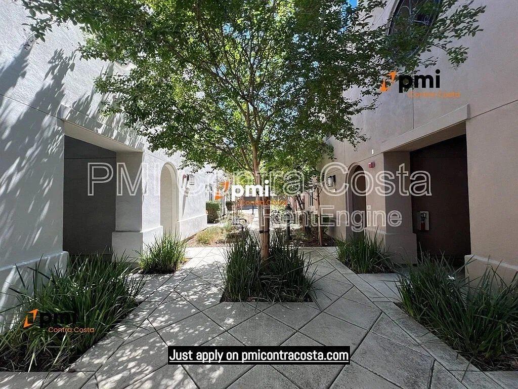 3 bed, 2.5 bath, 1598 sqft, $3,595 — Photo 3