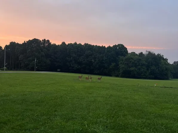 0 Robbie Ct, Mc Kenzie, TN 38201