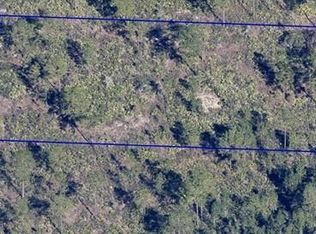 DILL ROAD LOT 800, ORLANDO, FL 32820