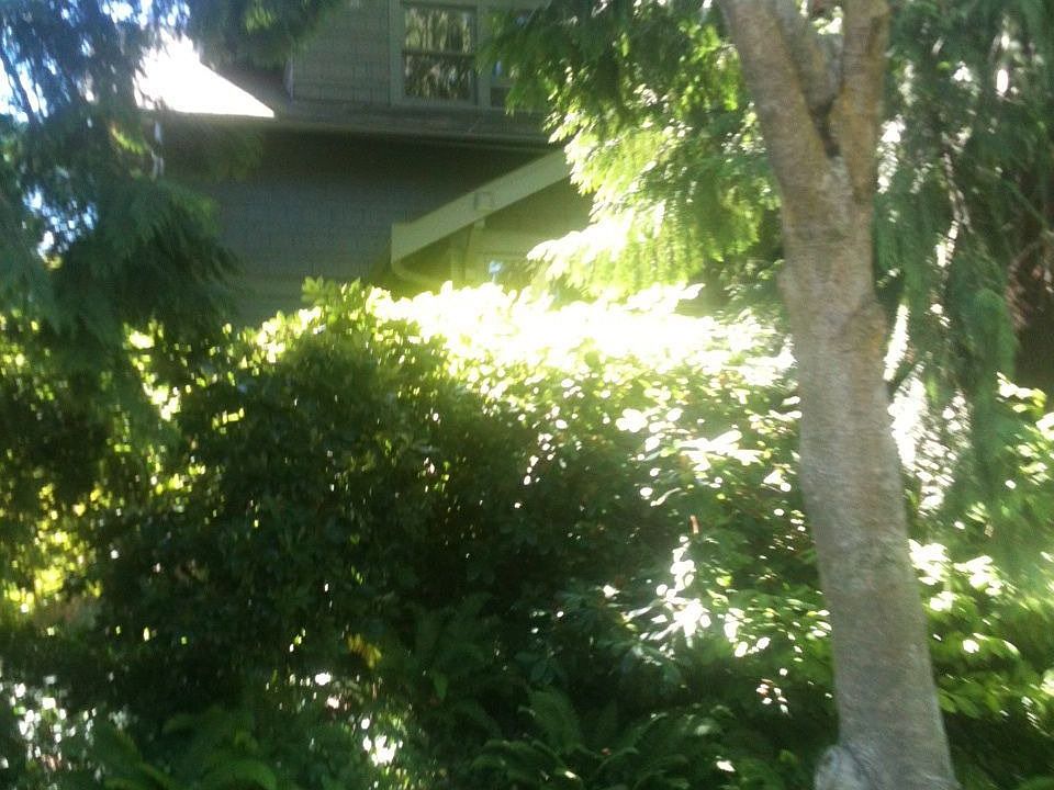 From Blaine Street