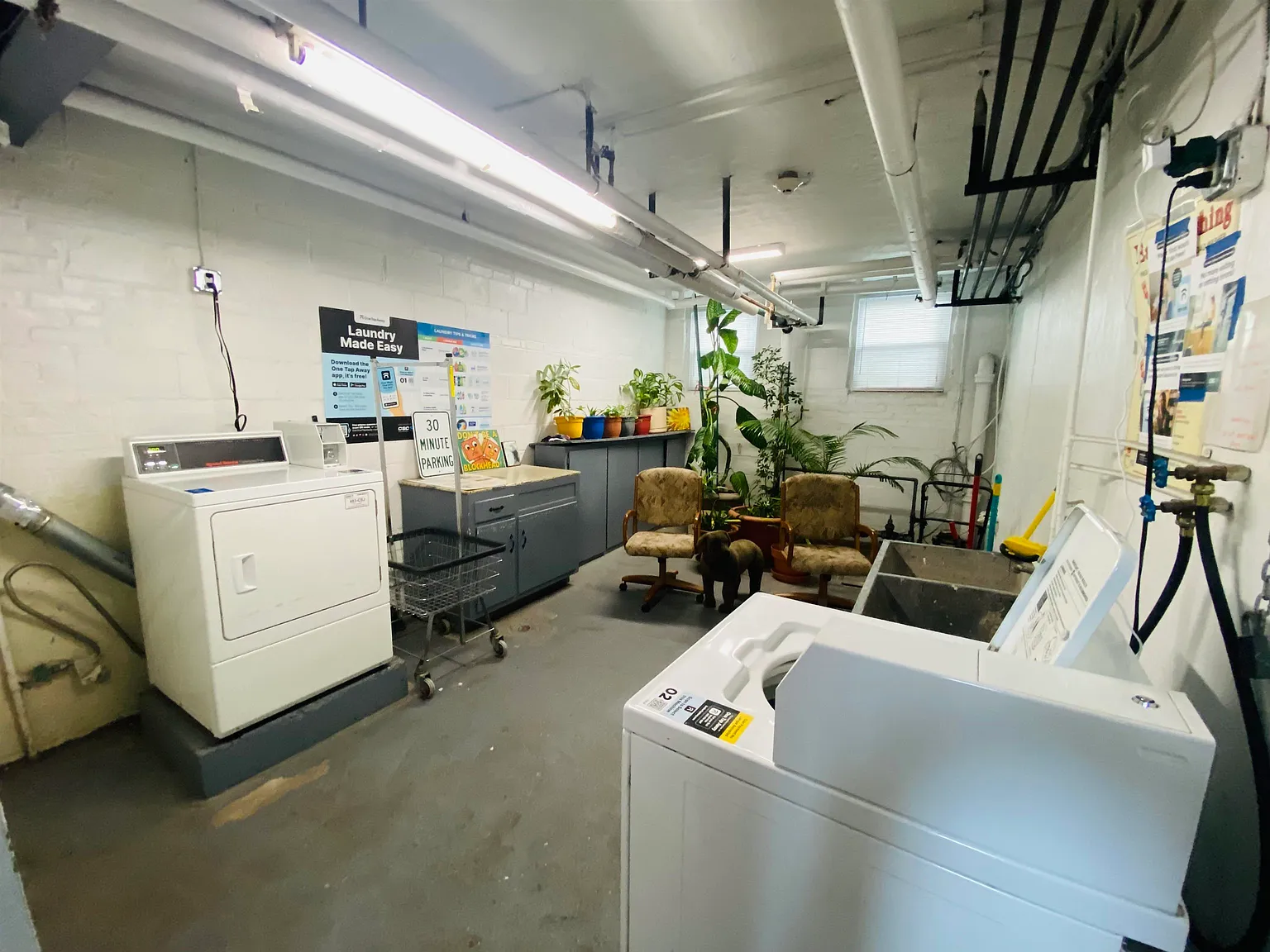1 bed, 1.0 bath, $1,850 — Photo 4
