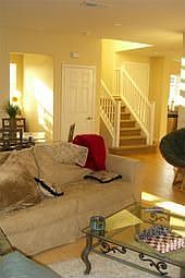 Lots of Light and Laminate floors