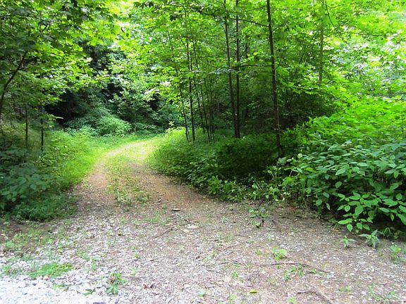 2nd image of Lot 22 Pauline Dr.