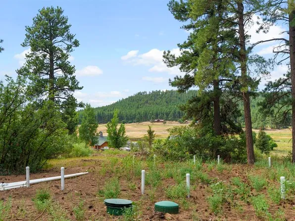 2828 County Road 502, Bayfield, CO 81122