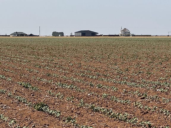 5th image of 3915 E Fm 1729