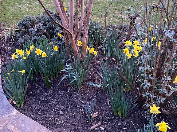 Front yard flower garden adjacent to flagstone entrance.