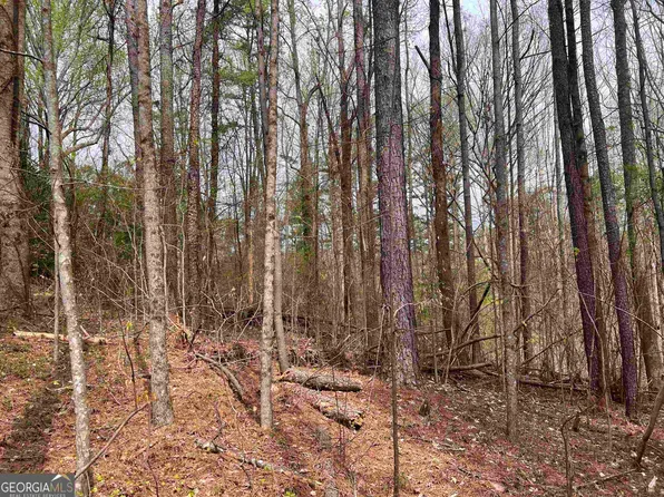 0 Highway 9 Hwy S, Dawsonville, GA 30534