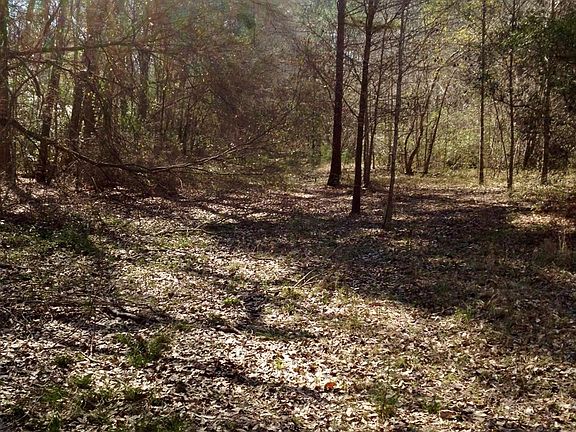 4th image of County Road 3017c