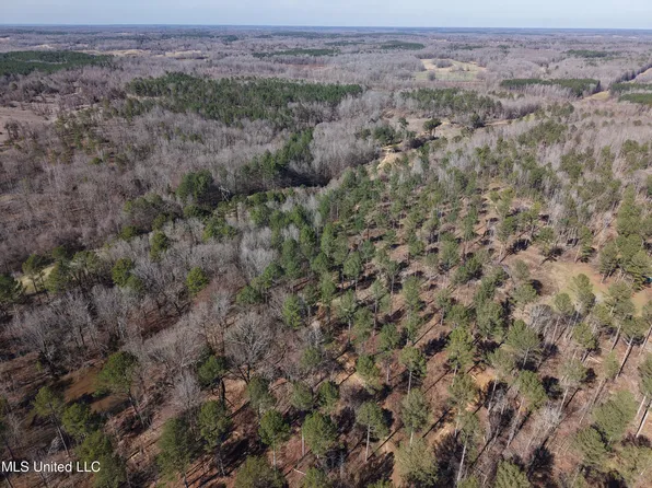 Paul Shady Grove Rd, Cascilla, MS 38920