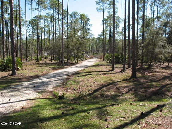 4th image of 6313 Turkey Cove Ln