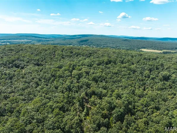 6 Buck Mountain Rd, Farmington, MO 63640