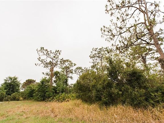 Land View