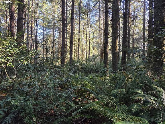 2nd image of Greggs Creek Rd #300