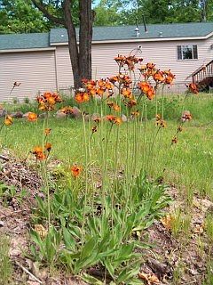 4th image of 8385 W Koeppler Road