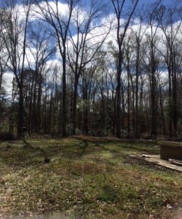 2nd image of 9974 Highway 84 E