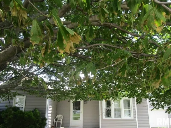 609 N 1st St, Alpha, IL 61413