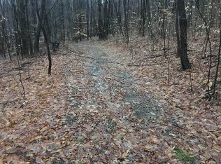 2648 Wolf Spring Rd, Scio, NY 14880