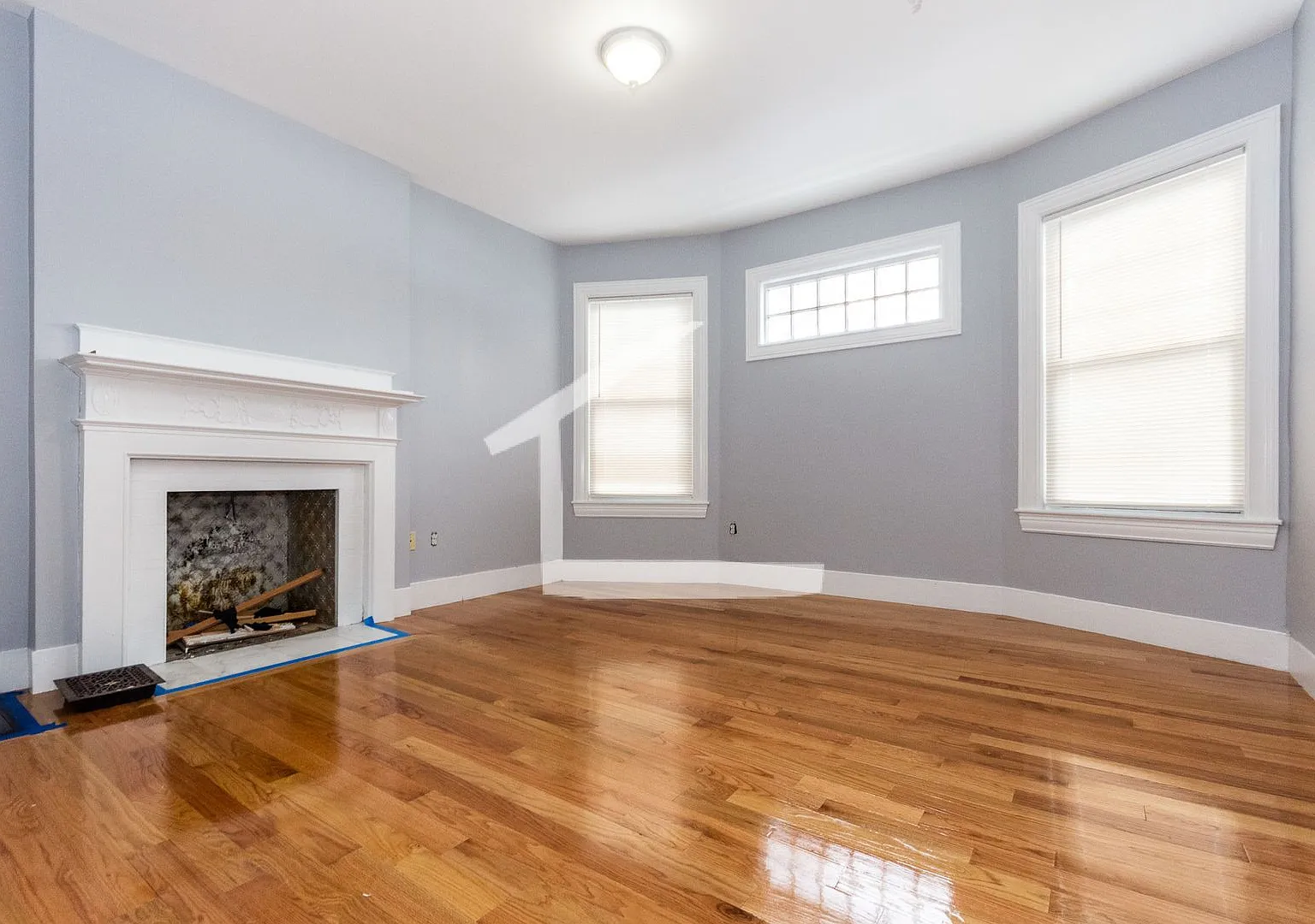 7bed 3bath in Allston is now available — Photo 1