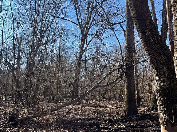 4th image of 0 E Greene County Rd #954