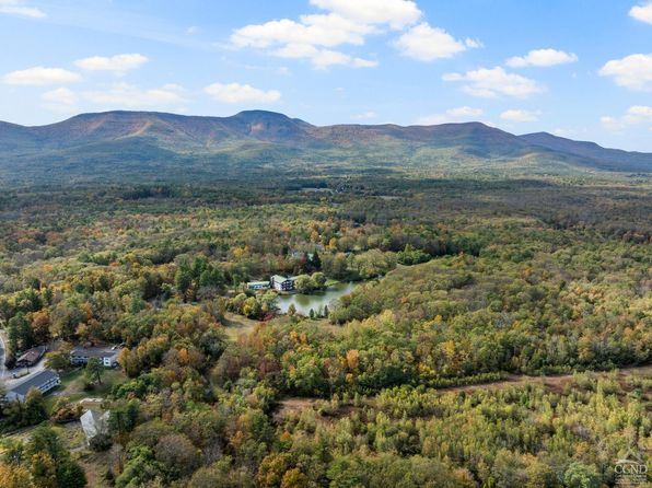 866-872 Mountain Ave, Purling, NY 12470