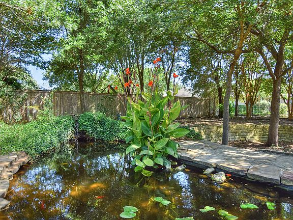 Koi Pond