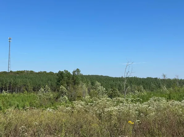 121 Fernwood Dr #99, Buchanan, TN 38222