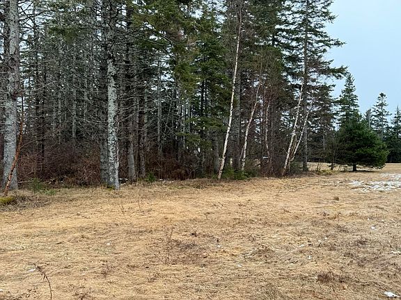 4th image of LOT Basin Head Rd