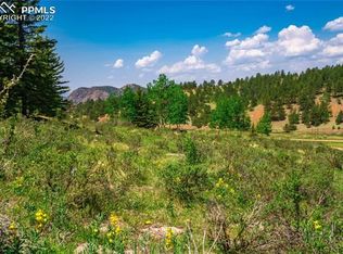 1408 Anges Dr, Cripple Creek, CO 80813