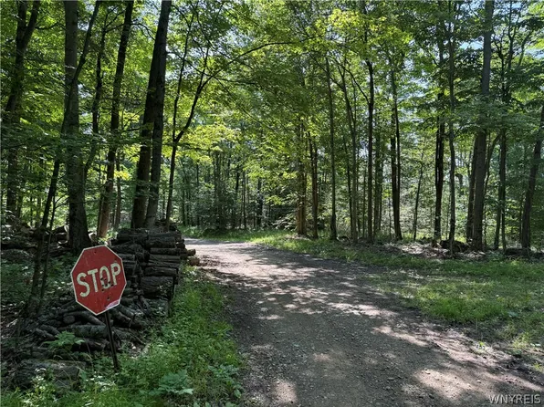 Salt Rising Rd Lot 12, Bolivar, NY 14715