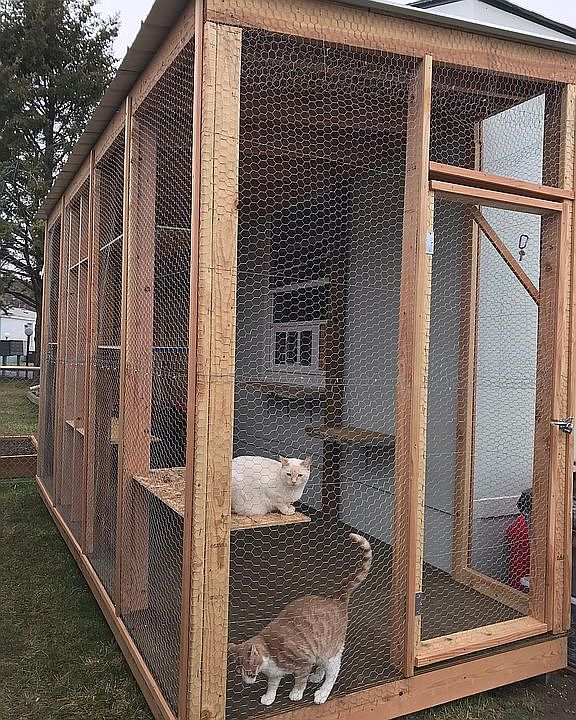 14’x6’x10’ caged patio