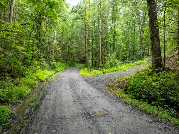 5846 Gates Chapel Rd, Ellijay, GA 30540