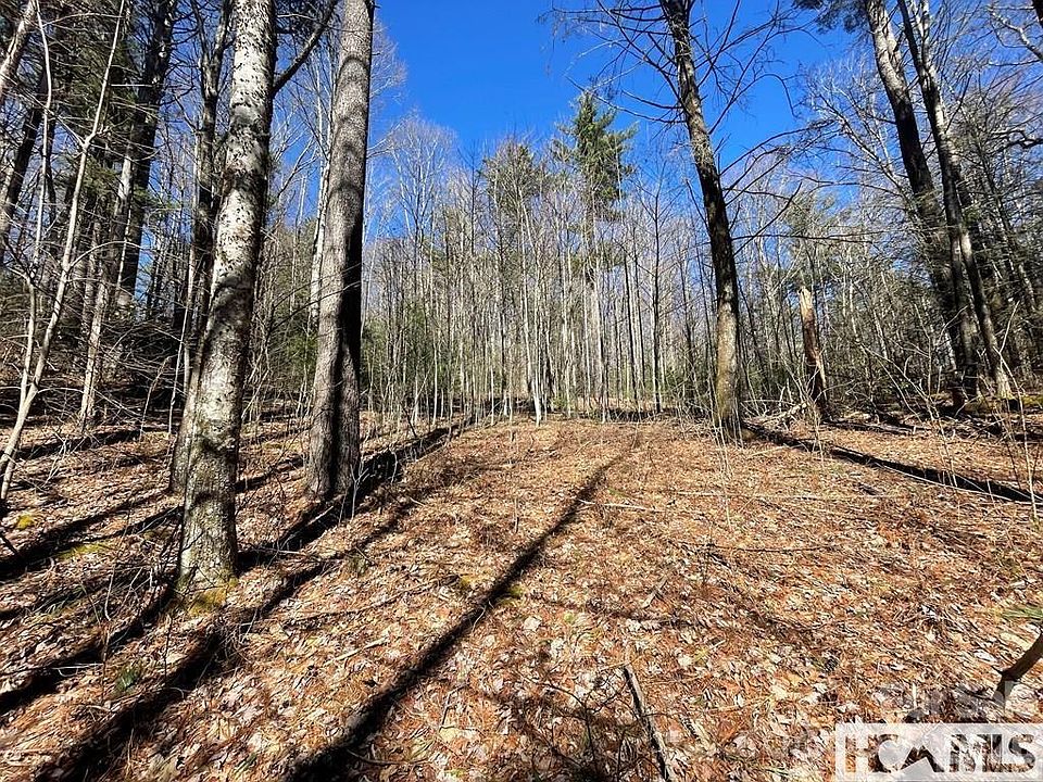 1st image of 1 Bear Log Rd