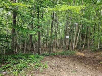 Rachels Chapel Rd, Coeburn, VA, 24230