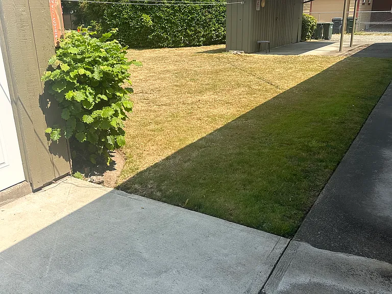 Backyard, a place to BBQ and hang clothes if desired