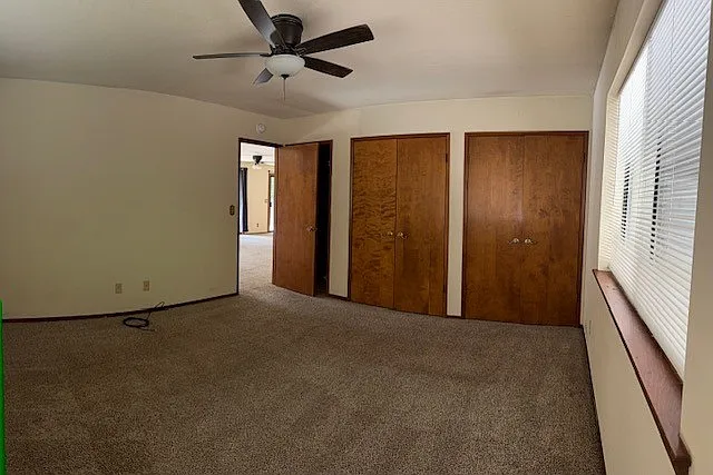 3509 Primrose Dr — Photo 6