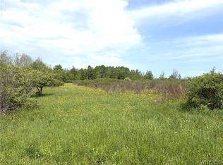 0 Stinson Rd LOT 45, Arcade, NY 14009