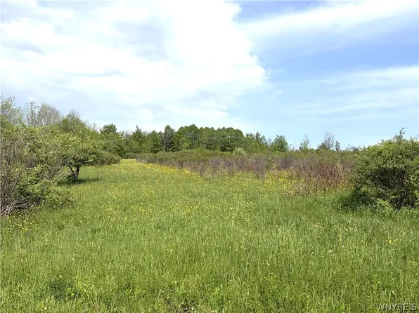 0 Stinson Rd Lot 45, Arcade, NY 14009