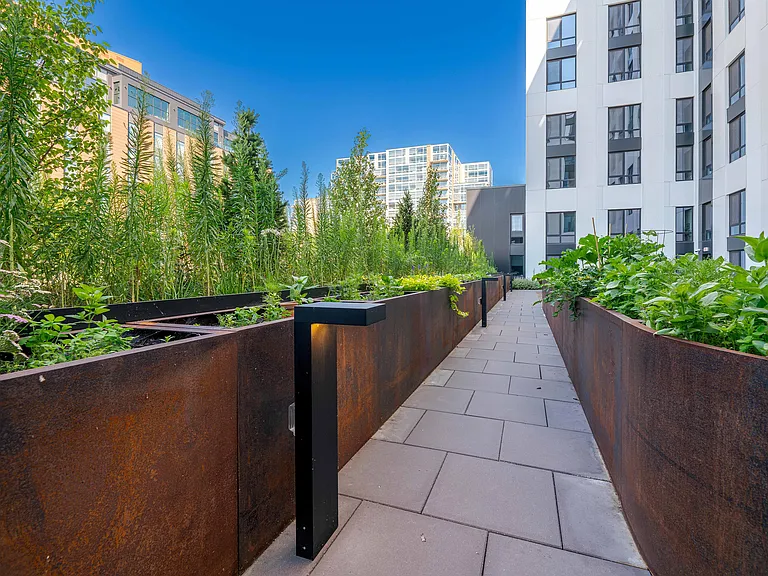 Rooftop Garden
