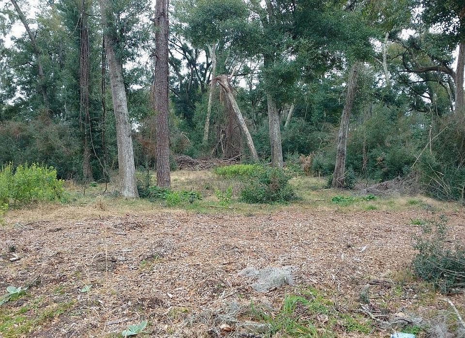 1st image of 75 Dolphin Point Drive