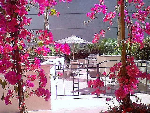 The Reserve Lofts — Photo 45