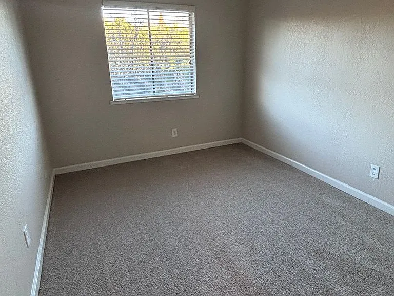 Olive Glen — Photo 20