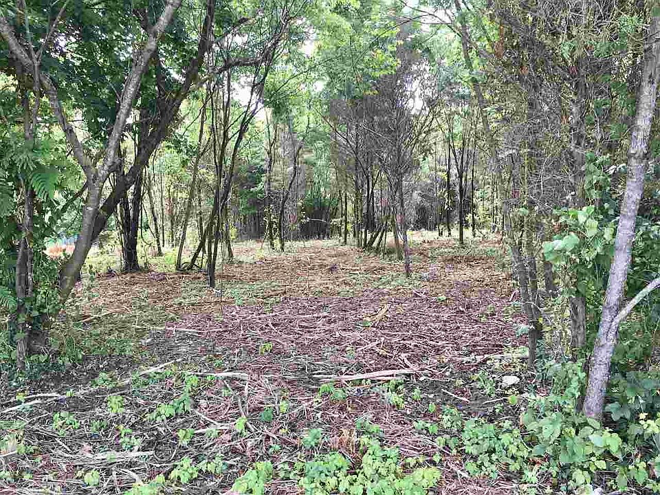 1st image of LOT 24 Maple Ave